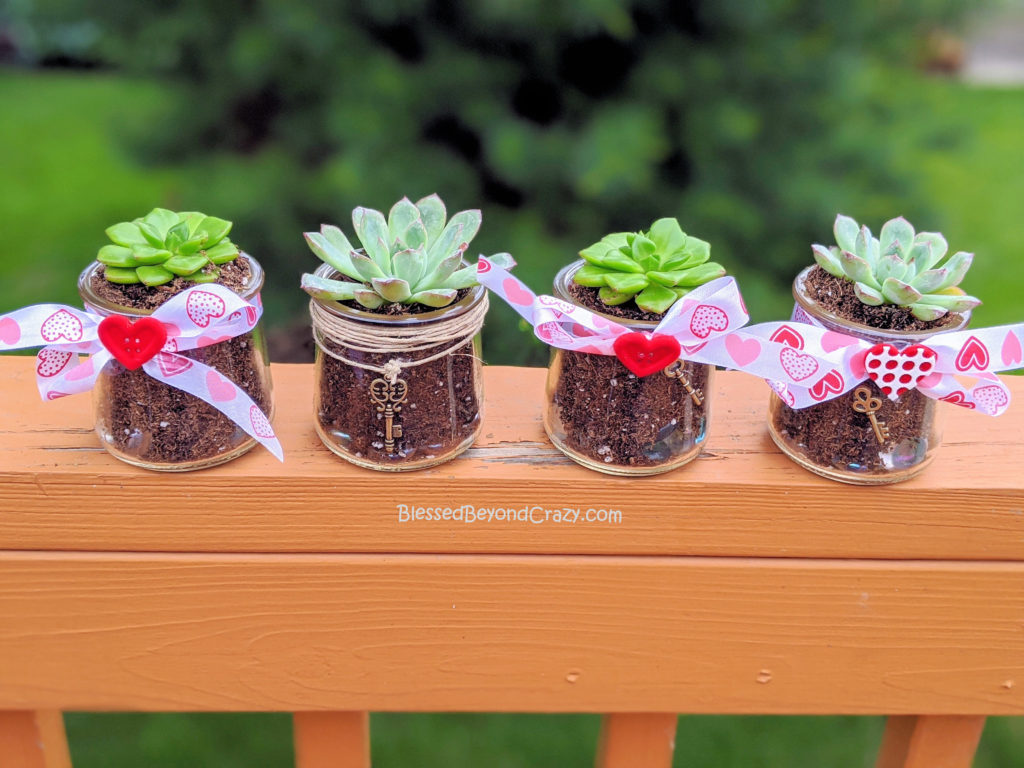 Display of my granddaugther"s Repurposed Succulent Planters. 