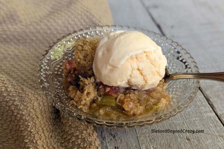 Serving of Rhubarb Crisp with scoop of vanilla ice cream