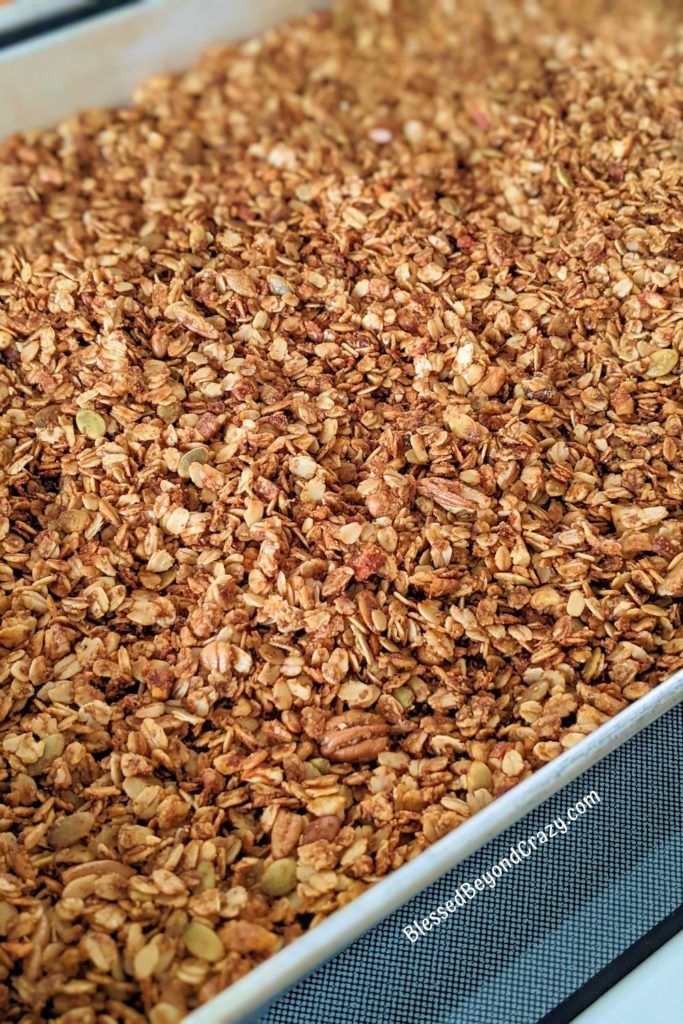 Close up view of unbaked granola.