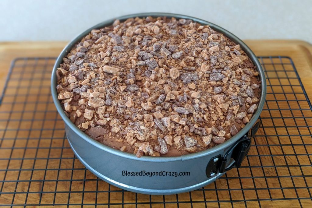 Freshly baked Coffee Toffee Cheesecake sprinkled with Heath Bit candies.