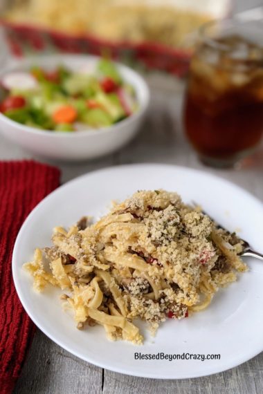 Single serving of Pork and Noodle Casserole