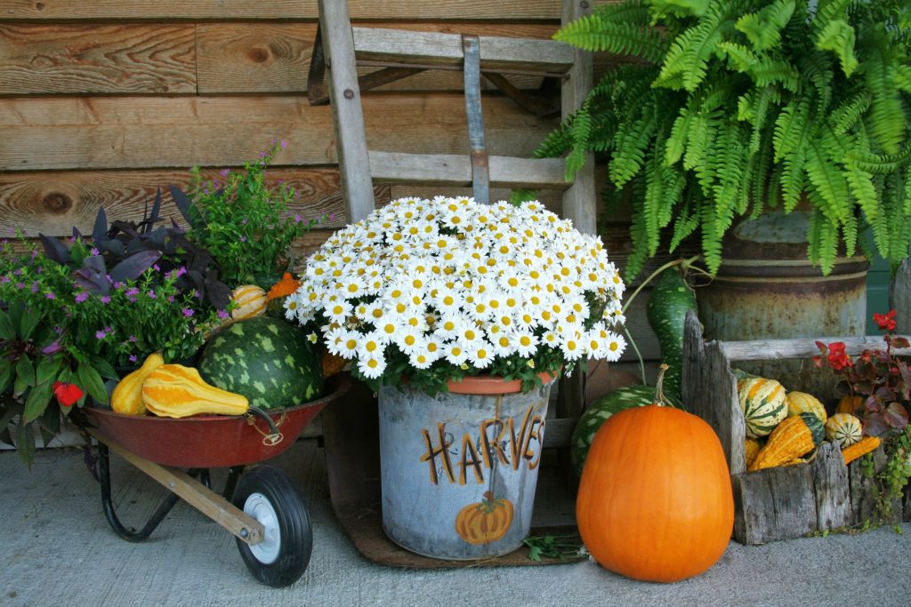 13 Ways to Use Rustic Galvanized Containers