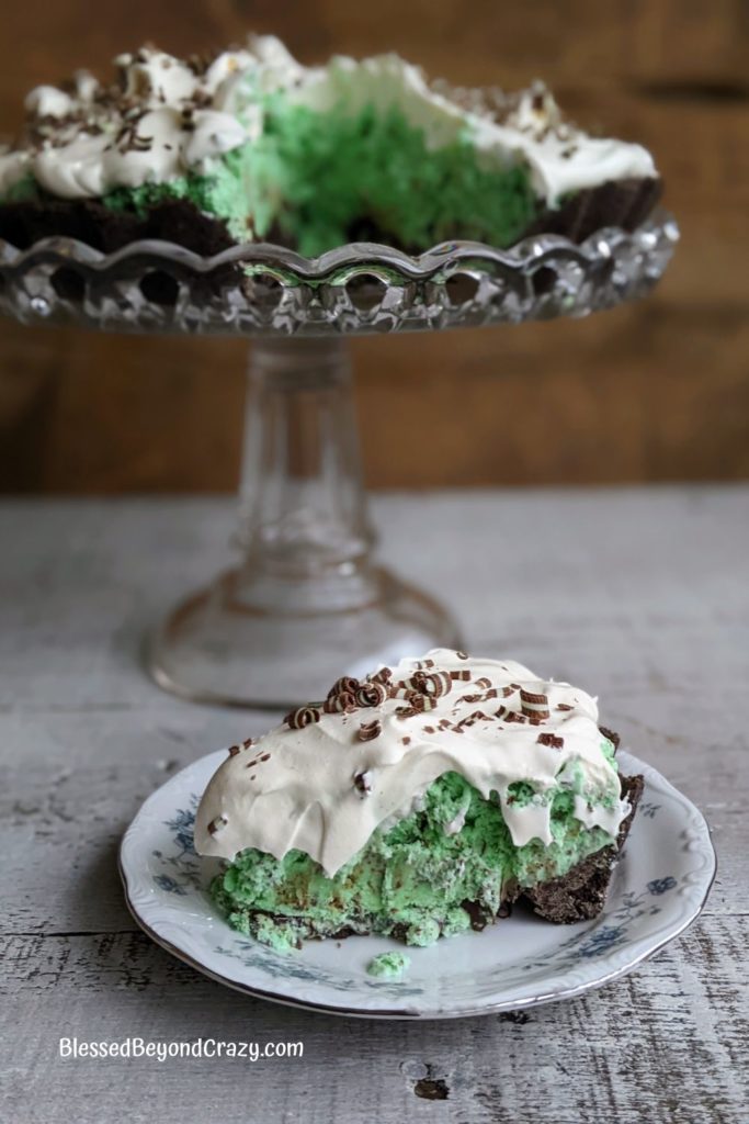 Individual serving on Chocolate Mint Tart on pretty china plate.