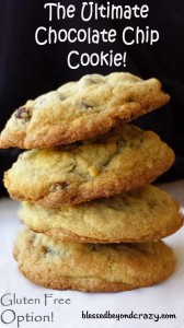 chocolate chip cookies4_edited-1