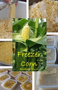 Home to make FREEZER CORN - taste just like corn off the cob - even in the cold winter months! 