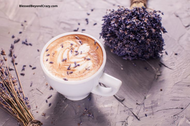 Lavender Latte