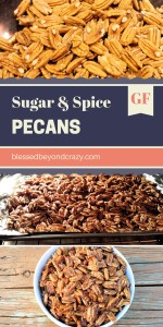 Sugar and Spice Pecans (2)