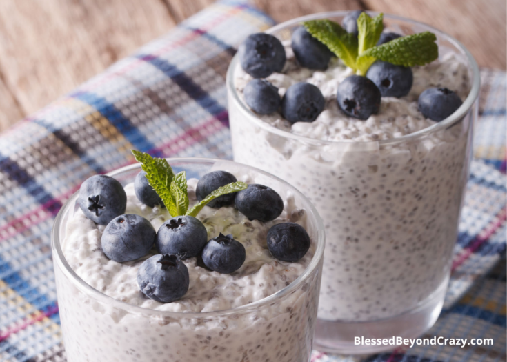 Lemon Blueberry Chia Pudding