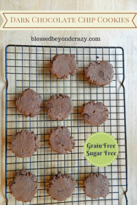 grain free sugar free dark chocolate chip cookies